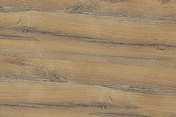 old pale fade wood color timber tree wooden surface wallpaper structure texture background