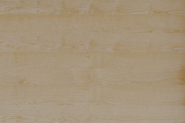 old pale fade wood color timber tree wooden surface wallpaper structure texture background