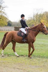 Obraz premium Riding a horse 