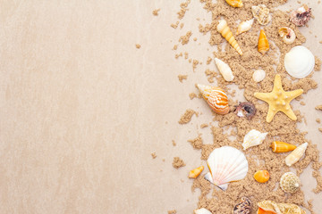 Seashells sandy summer background. Lots of different seashells piled together, copy space, frame, top view.