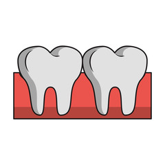 Teeth in gum dental care