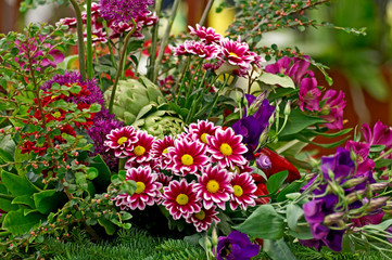 A colourful and attractive arrangement of red and purple flowers