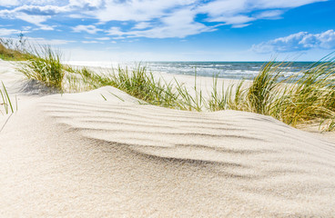 Fototapeta Pusta dzika plaża koło Mrzeżyna nad Bałtykiem w Polsce obraz