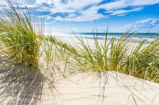 Pusta dzika plaża koło Mrzeżyna nad Bałtykiem w Polsce
