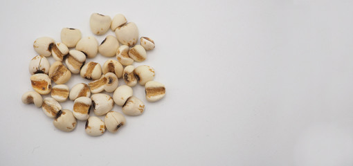 Job's Tears, also known as adlay and coix on white background. Popular in Asian cultures as a food source.