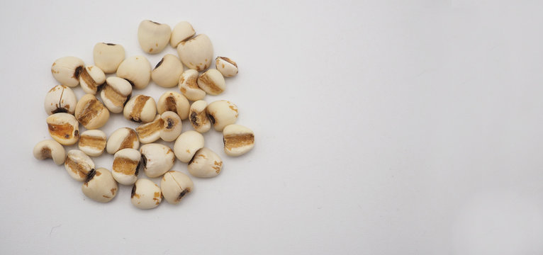 Job's Tears, also known as adlay and coix on white background. Popular in Asian cultures as a food source.