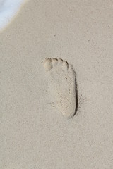 bbq bar wedding food animals beach