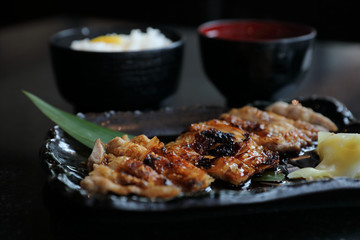 japanese food , Chicken teriyoki with rice
