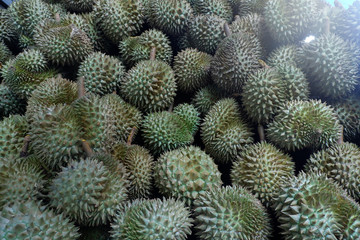 Naklejka na ściany i meble Durian, King of Tropical Fruits in Thailand and Southeast Asia.