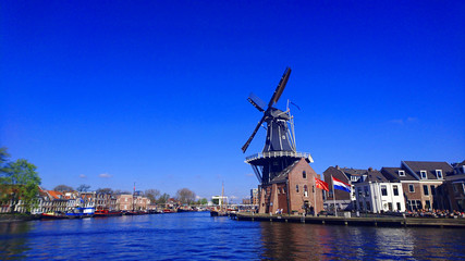 Fototapeta na wymiar dutch windmill in holland