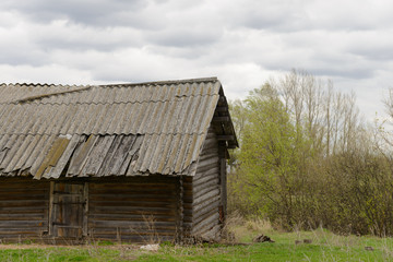 Obraz premium Old abandoned log house among the trees in cloudy weather