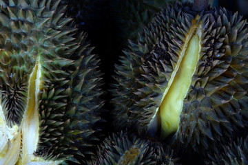 Durian, King of Tropical Fruits in Thailand and Southeast Asia.
