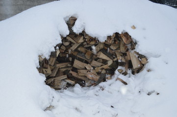 In winter wood is covered with snow