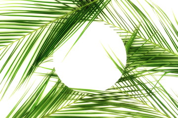 tropical green palm leaves pattern with paper card note mock up. Plant abstract background. flat lay, top view.copy space