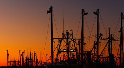 Masts and rigging of a trawler fleet at dawn/sunset silhouetted against an orange sky