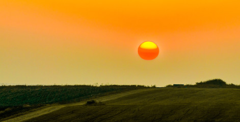 Landscape - Field and morning sun