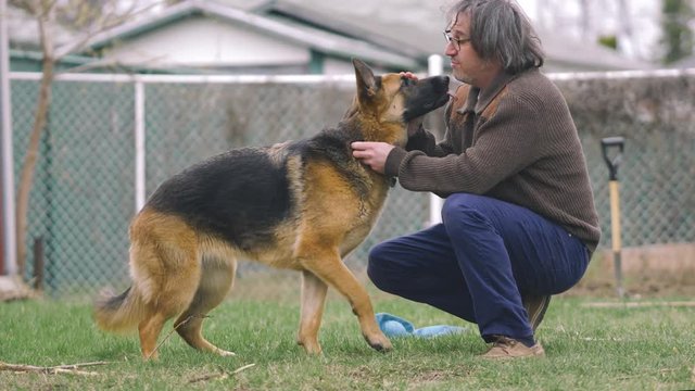 Man scolding his German shepherd pet dog outdoors talking to him