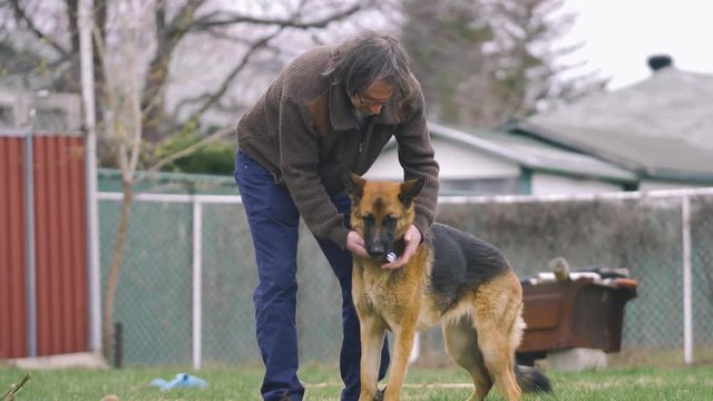 Pet owner trying to brush the teeth of his german shepherd outdoors.