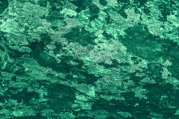 Vintage green background. Rough painted wall of emerald color. Imperfect plane of virid colored. Uneven old decorative toned backdrop of green tint. Texture of emerald hue. Ornamental stony surface.