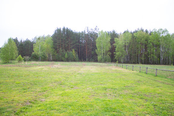 green meadow near the country house
