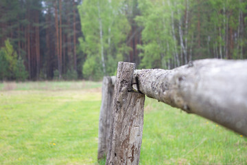 green meadow near the country house