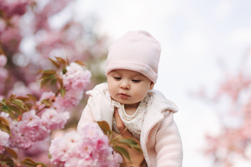 Cute baby girl between pink branches play with leaflets. Happy little girl surrounded by sakura © Aleksandr