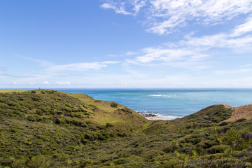 Fototapeta premium Beautiful Coastline at Omapere, New Zealand