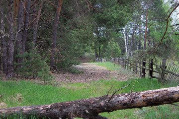 green meadow near the country house