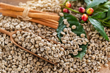 Coffee beans. On a wooden background rotation