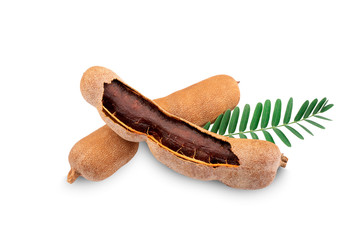 Tamarind isolated on the white background
