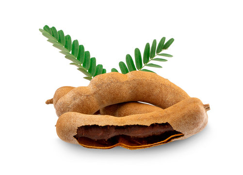Tamarind isolated on the white background