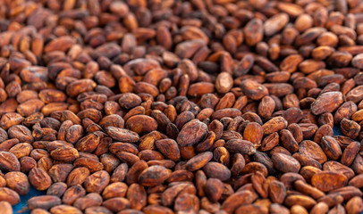 Cocoa beans and cocoa pod on a wooden surface