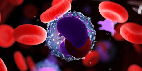 3d rendered medically accurate illustration of a lymphocyte