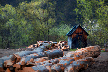 Tartak - Skład Drewna i Szopa  © Wojciech Lisiński