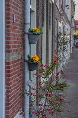 Street and brick walls of Leiden, Netherlands