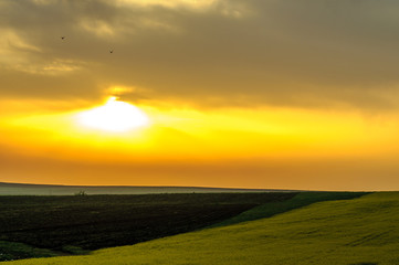 Landscape - Field and morning sun