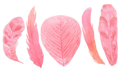 Tropical Exotic Leaves And Pink Flamingo Feathers Watercolor Set