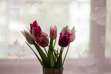 bouquet of tulips in vase