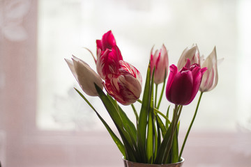 bouquet of tulips in vase isolated on white