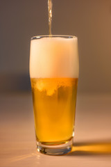 注がれて泡立つビール