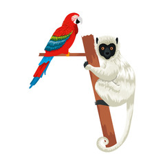 tropical capuchin monkey and parrot