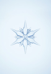 Fototapeta premium Transparent and clean snowflakes.