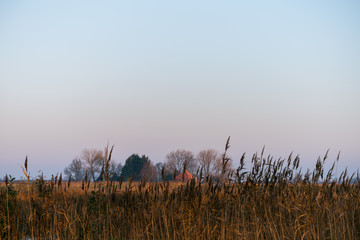 Panorama shot of typical dutch landscape. Volgermeerpolder Amsterdam