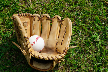 芝生のグローブとぼボール