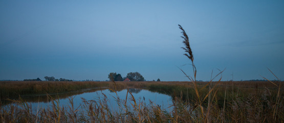 Fototapeta premium Typical Dutch landscape Volgermeerpolder