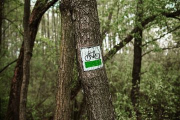 Bike trail indicator sign made with white and green paint on tree bark.