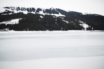 Beautiful winter wonderland scenery with trees and mountain tops in the Alps