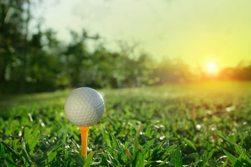 golf ball on tee in a beautiful golf course with morning sunshine