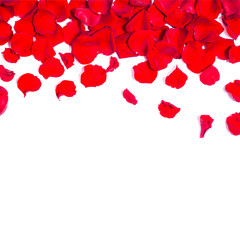 Background with red rose petals