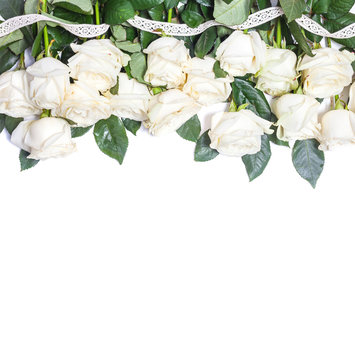 White roses on white background